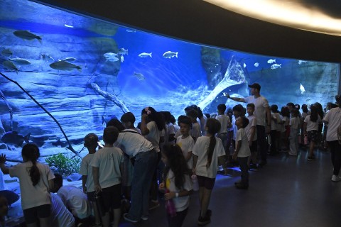 Bioparque Pantanal se consolida no mapa do turismo sustentável mundial