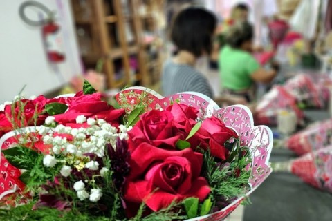 Dia da Mulher: Procon de Mato Grosso do Sul divulga pesquisa sobre flores e autocuidado