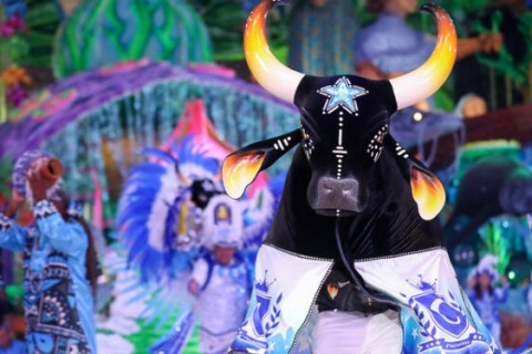 Boi Caprichoso anuncia tema para Festival de Parintins 2026: 'Brinquedo que canta seu chão'