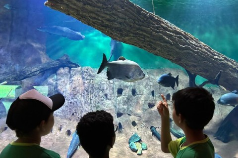 Bioparque Pantanal celebra quatro anos colocando Mato Grosso do Sul em destaque internacional