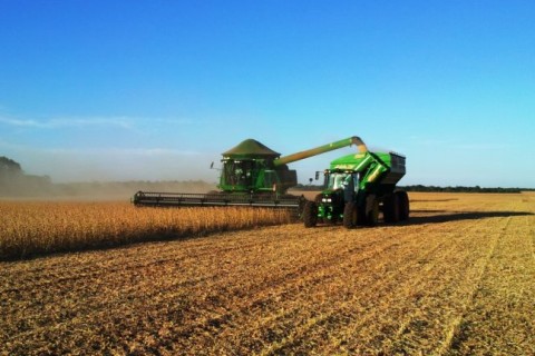 PIB dos municípios de MS cresceu em todas as regiões com destaque para áreas agroindustriais