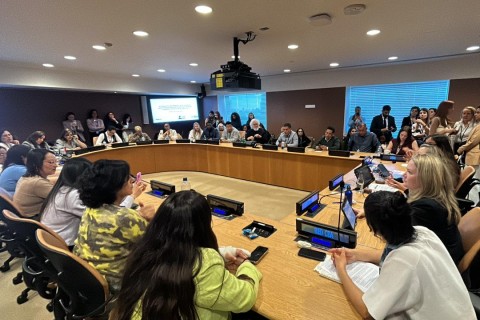 Mato Grosso do Sul leva programa Protege à ONU e debate proteção de mulheres em fórum internacional