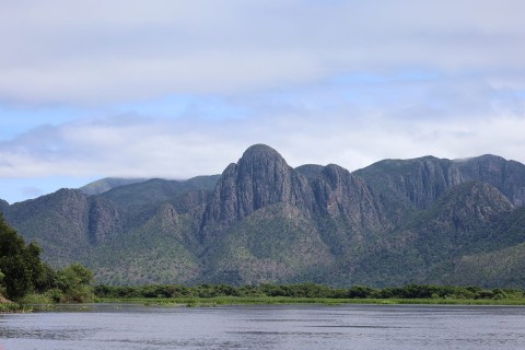 Para preservar o Pantanal, PSA Brigadas destinou mais de R$ 6,1 milhões para diferentes projetos sustentáveis